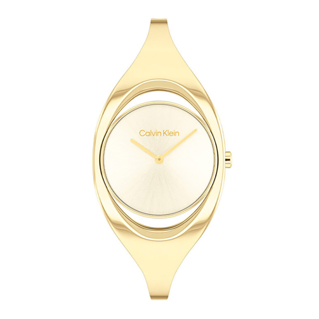 Calvin Klein női óra CK25200391