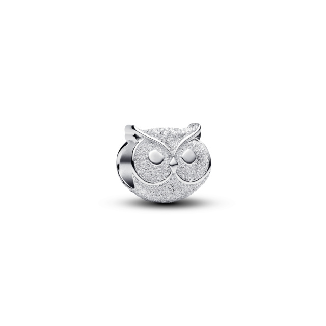 Pandora Texturált bagoly mini charm