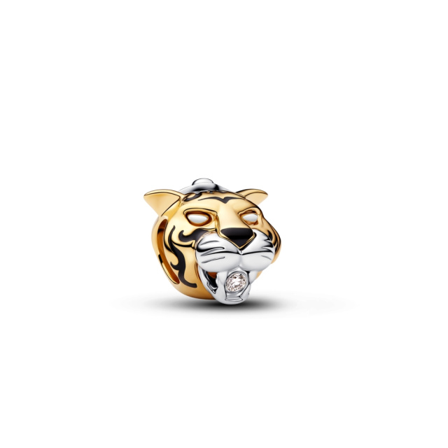 Pandora charm