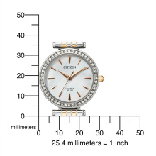 Citizen Elegance lady női óra ER0216-59D
