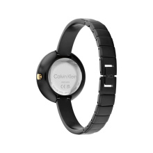 Calvin Klein női óra CK25200024