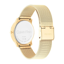 Calvin Klein női óra CK25200034