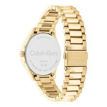 Calvin Klein női óra CK25200232