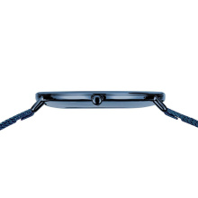 Bering női óra 15729-397