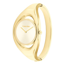 Calvin Klein női óra CK25200391