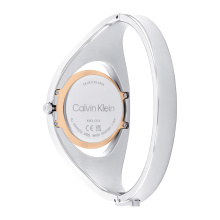 Calvin Klein női óra CK25200393