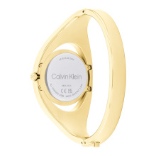 Calvin Klein női óra CK25200422