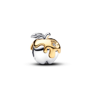 Pandora charm