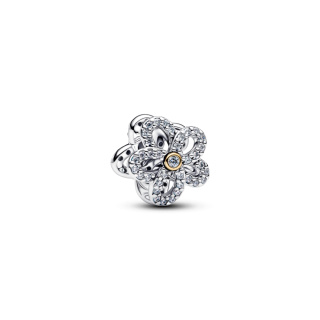 Pandora charm