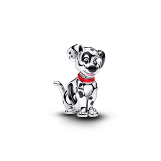 Pandora charm