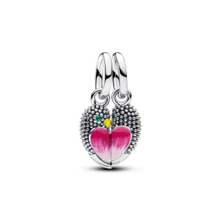 Pandora charm