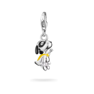 Thomas Sabo charm