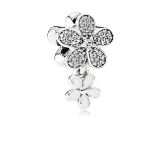 Pandora Moments ezüst charm